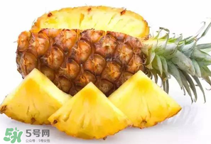 菠蘿批發(fā)多少錢一斤？菠蘿批發(fā)價格