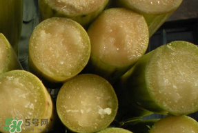 甘蔗要洗嗎？吃甘蔗時要用鹽水洗嗎？