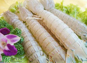 皮皮蝦為什么沒(méi)有肉？皮皮蝦為什么里面沒(méi)肉？