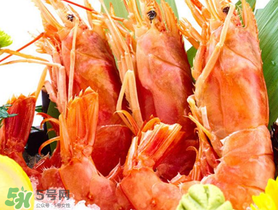 阿根廷紅蝦蝦頭能吃嗎？阿根廷紅蝦頭怎么處理？