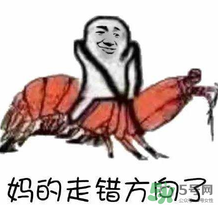 說人皮皮蝦是什么意思？女生叫男生皮皮蝦什么意思？