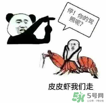 皮皮蝦為何突然火了？皮皮蝦怎么火的？