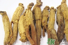 高麗參適合什么人吃？什么人不能吃高麗參？