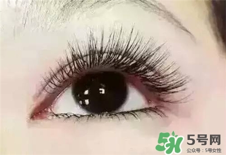 孕睫術(shù)是什么？孕睫術(shù)有用嗎？