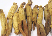 高麗參適合什么人吃？什么人不能吃高麗參？