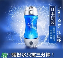 水素杯的價格是多少？水素杯日本價格多少？