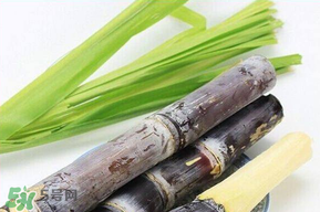 甘蔗發(fā)霉能吃嗎？吃了發(fā)霉的甘蔗怎么辦？