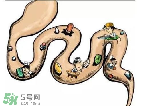 便秘吃什么藥好？便秘吃什么藥最快排便？