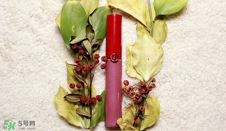 肉桂色口紅哪個牌子好？肉桂色口紅推薦
