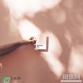 肉桂色口紅哪個牌子好？肉桂色口紅推薦