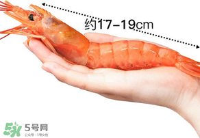 活蝦灌膠水是真的嗎？活蝦灌膠水人吃了會有什么害處？
