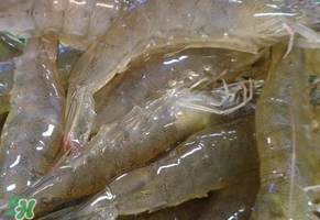 活蝦灌膠水是真的嗎？活蝦灌膠水人吃了會有什么害處？