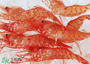 蝦凍了一年還能吃嗎？蝦凍了半年還能吃嗎？