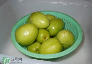 一斤青棗的熱量是多少？吃一斤青棗會胖嗎？