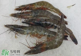 青蝦變黑了還能吃嗎？青蝦為什么變黑？