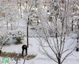 春天下雪意味著什么？春天為什么會(huì)下雪？