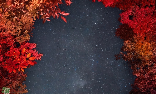 紅棕色是什么顏色？紅棕色口紅試色