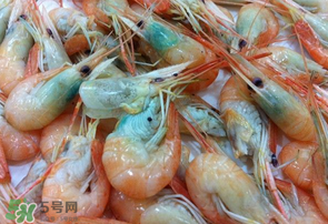 蝦變綠了能吃嗎？?jī)鑫r變綠了能吃嗎？