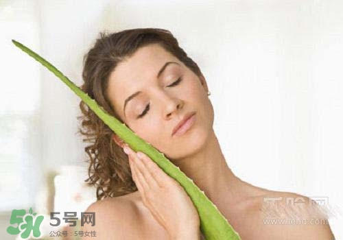蘆薈涂在臉上發(fā)癢是怎么回事？蘆薈涂在臉上發(fā)癢怎么辦？