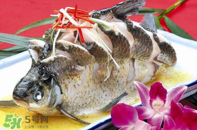 魚有禽流感嗎？吃魚會得禽流感嗎？