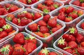 草莓爛了點(diǎn)皮可以吃嗎？草莓表皮發(fā)白是爛了嗎？