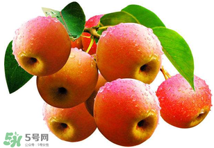 南國梨為什么有酒味？南果梨有酒味能吃嗎？