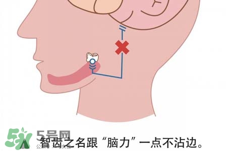 智齒會(huì)一直長(zhǎng)嗎？智齒會(huì)停止生長(zhǎng)嗎？