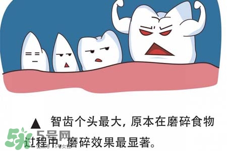 智齒經常發(fā)炎怎么辦？智齒反復發(fā)炎腫痛怎么辦？