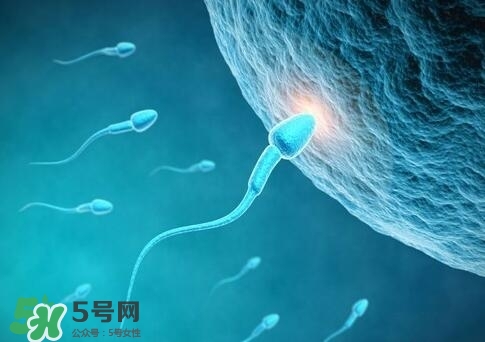 如何提高精子質(zhì)量與成活率？精子質(zhì)量怎么調(diào)理？
