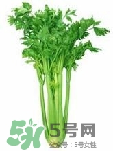 負卡路里的食物有哪些？負卡路里食物真的吃不胖嗎？