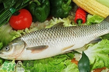 草魚能生吃嗎？草魚可以直接生吃嗎？