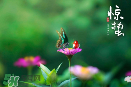 驚蟄是什么意思？驚蜇是什么節(jié)氣？