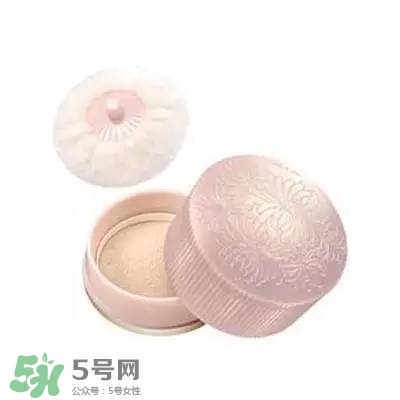 2017珠光散粉哪個牌子好？2017珠光散粉推薦