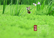驚蟄吃什么蔬菜好？驚蟄節(jié)氣養(yǎng)生吃什么蔬菜？