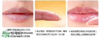 愛麗小屋唇部磨砂膏怎么樣？愛麗小屋唇部磨砂膏和悅詩風吟哪個好？