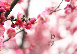 驚蟄如何養(yǎng)生？驚蟄前后如何養(yǎng)生？