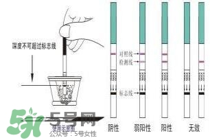 驗孕試紙準嗎？驗孕試紙怎么看求圖解