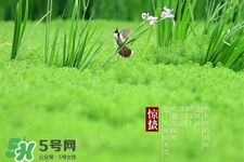 驚蟄如何養(yǎng)生？驚蟄前后如何養(yǎng)生？