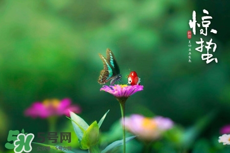 驚蟄如何養(yǎng)生？驚蟄前后如何養(yǎng)生？