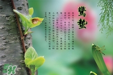 驚蟄為何要打小人？驚蟄為什么要打小人？