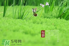 驚蟄打小人什么時間最好？驚蟄打小人幾點鐘合適？