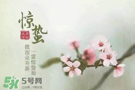驚蟄可以去掃墓嗎？驚蟄可以去上墳嗎？