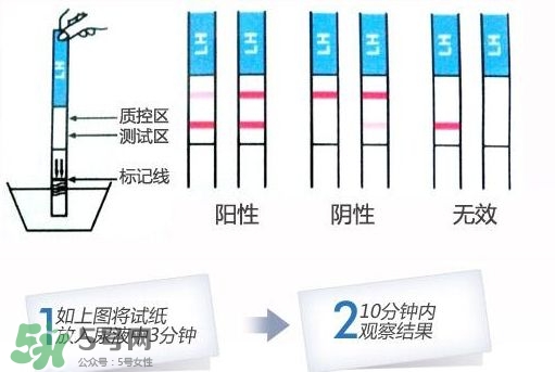 早孕試紙什么時(shí)候測最準(zhǔn)？早孕試紙什么時(shí)候可以測出來
