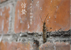 驚蟄可以去掃墓嗎？驚蟄可以去上墳嗎？