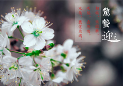 驚蟄為何要打小人？驚蟄為什么要打小人？
