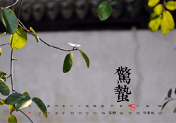 驚蟄可以動針線嗎？驚蟄為什么不動針線？