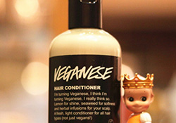 lush護(hù)發(fā)素哪個(gè)好？lush護(hù)發(fā)素推薦
