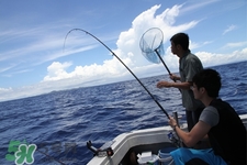 三月份可以釣魚了嗎？三月份好釣魚嗎？