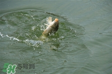 三月份可以釣魚了嗎？三月份好釣魚嗎？