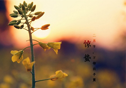 驚蟄能去廟里祈福嗎？驚蟄要去廟里祈福嗎？